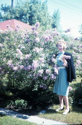 Photograph